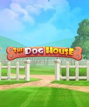 The Dog House